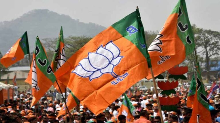 BJP में राष्ट्रीय कार्यकारिणी के लिए छत्तीसगढ़ से पांच नामों पर नजर, 12 मई को होगी बैठक
