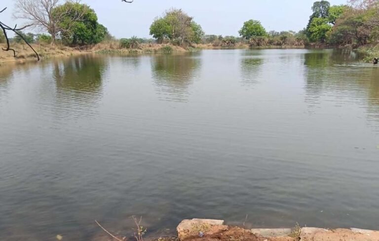 भीषण गर्मी में बड़ी राहत: नहरों के पानी से 4755 सूखे तालाब हुए लबालब