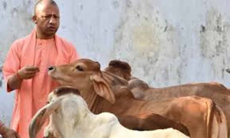 यूपी की गोशालाओं में तैनात होंगी ‘कृषि सखियां’, महिलाओं को मिलेगा रोजगार