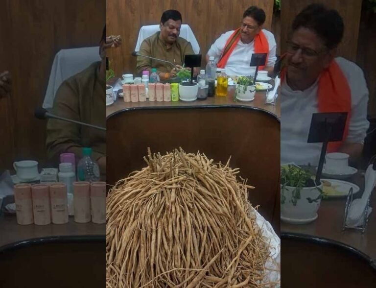 खेत की मेड़ पर करें सतावर की खेती, कम लागत में बढ़ेगी किसानों की आय