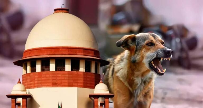 सुप्रीम कोर्ट के निर्देश लागू करना कितना आसान? आवारा कुत्तों के लिए सुविधाओं पर उठी बहस