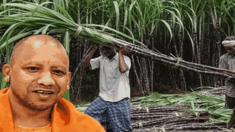 यूपी ने रचा इतिहास! गन्ना किसानों को 3.22 लाख करोड़ रुपये से ज्यादा का भुगतान