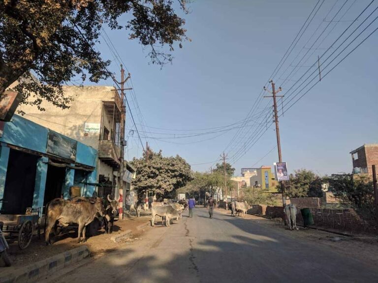 अधिकमास के लिए वृंदावन में सफाई व्यवस्था तीन शिफ्ट में होगी