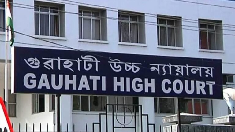 जन्मतिथि में 30 फरवरी लिखना पड़ा भारी, HC ने महिला को भारतीय मानने से किया इनकार