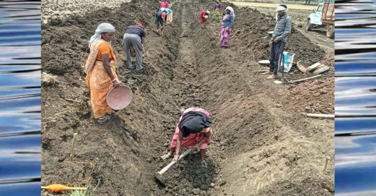जल गंगा संवर्धन अभियान: पुष्पराजगढ़ में नहरों को मजबूती देने का प्रयास