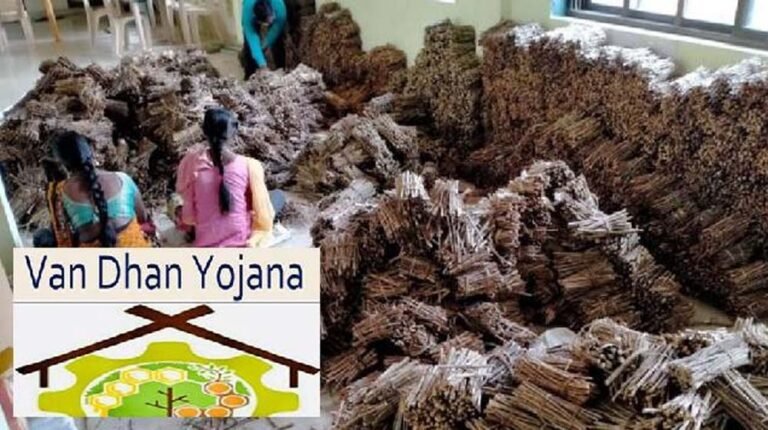 जनजातीय महिलाओं का आत्मनिर्भर सफर, वन धन केन्द्रों ने दिया नया आयाम