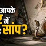घर में सांप दिखना शुभ या अशुभ? जानें वास्तु शास्त्र क्या कहता है