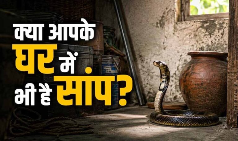 घर में सांप दिखना शुभ या अशुभ? जानें वास्तु शास्त्र क्या कहता है