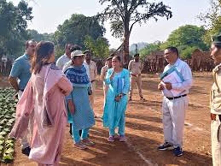 तेंदूपत्ता संग्रहण में तेजी लाने की कवायद: फड़ों पर पहुंचे वन अधिकारी, व्यवस्थाओं का लिया जायजा