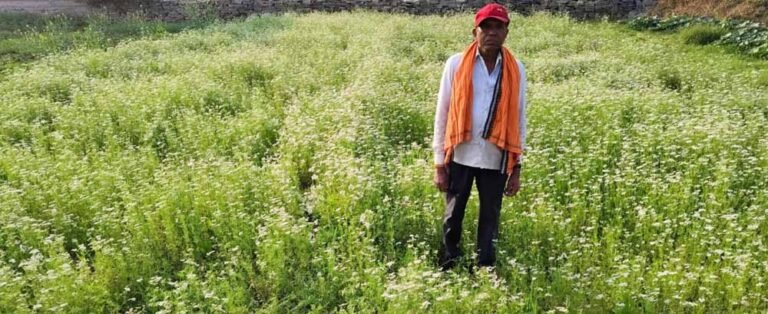 राष्ट्रीय बागवानी मिशन बना सहारा, महासमुंद के किसान रतिराम को धनिया खेती से फायदा