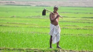 कम लागत, बेहतर उत्पादन और मिट्टी की सुरक्षा का नया विकल्प : नैनो उर्वरक