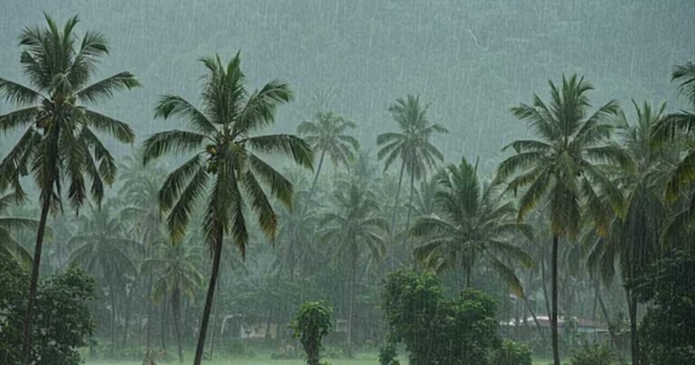 समय से पहले दस्तक की उम्मीद टूटी, आखिर क्यों लेट हुआ मॉनसून?
