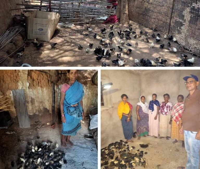 नियद नेल्लानार योजना: कच्चापाल जलप्रपात के पास ‘इन्द्रावती समूह’ की महिलाएँ मुर्गी पालन से लिख रहीं आत्मनिर्भरता की नई इबारत