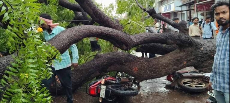 तेज आंधी से शिवपुरी में अफरा-तफरी, दीवार ढही, पांच घायल, छत पर खड़ी दो महिलाएं गिरीं
