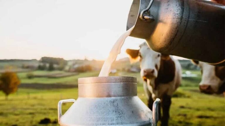 स्वर्णिम दुग्धामृत संवाद समागम के जरिए किसानों/गोपालकों से किया जा रहा संवाद