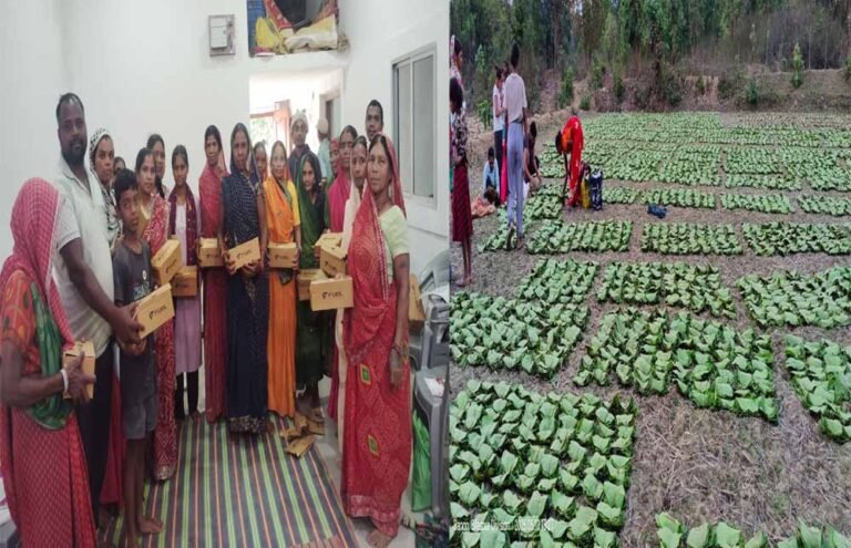 तेन्दूपत्ता से बदली जिंदगी, बढ़ी आय और सम्मान बढ़ी आय और सम्मान