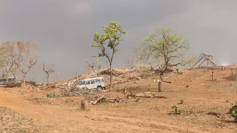 जंगल बचाने की मुहिम तेज, कई जगहों पर मिला अवैध कब्जा