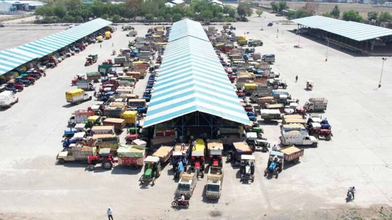 देश के गेहूं निर्यात में म.प्र. का योगदान 40 प्रतिशत