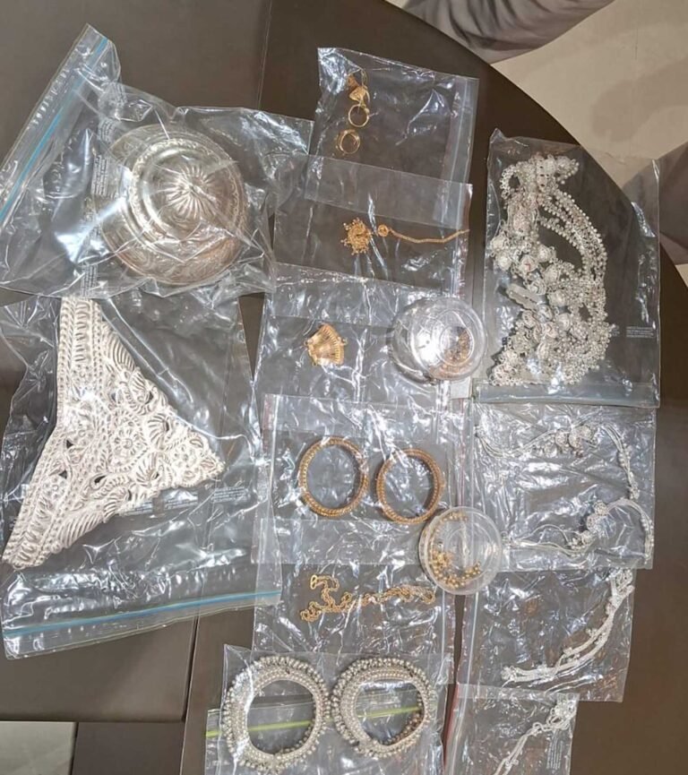 09 चोरी की वारदातों का खुलासा