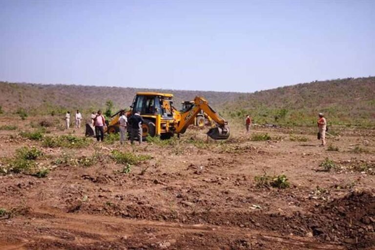 नीमच में 12 हेक्टेयर वन भूमि अतिक्रमण के प्रयास से मुक्त