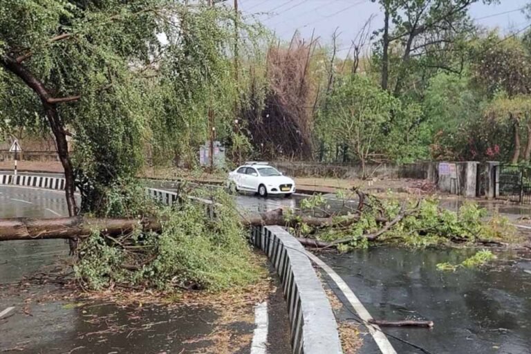 एमपी में 17 जिलों में बारिश और ओले का खतरा, भोपाल में आंधी से पेड़ गिरे; 4 मई तक जारी रहेगा मौसम का असर