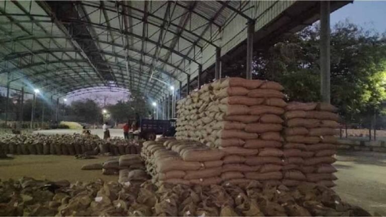 गेहूं की उपज में एमपी का जलवा, हरियाणा और पंजाब से आगे