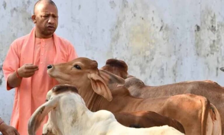 गांव-गांव बदल रही तस्वीर! गौ संरक्षण के जरिए योगी सरकार बढ़ा रही किसानों की आमदनी