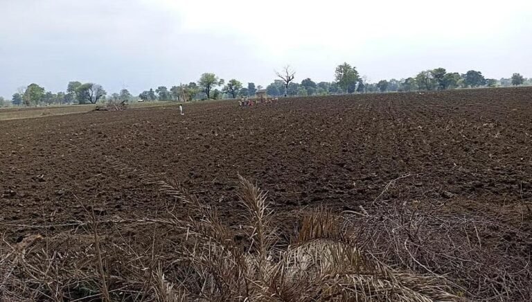 किसानों के लिए मुश्किल बढ़ी, 13 जिलों में बारिश का इंतजार; जल्दबाजी में बोवनी न करने की सलाह