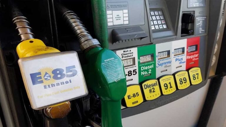 Flex Fuel वाहनों को मिलेगा बढ़ावा, E85 पेट्रोल लॉन्च को लेकर सरकार की बड़ी तैयारी