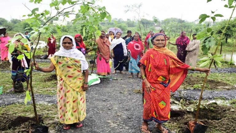 जनभागीदारी के दम पर हरियाली की ओर बढ़ता छत्तीसगढ़, पर्यावरण संरक्षण को मिली नई दिशा