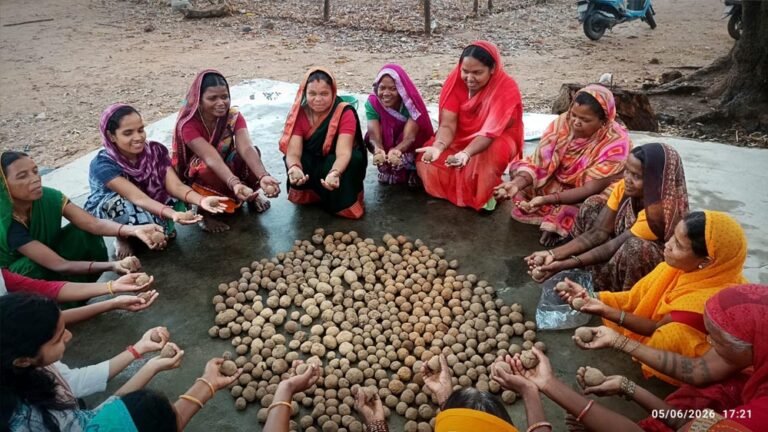 सीड बॉल से हरियाली की नई मुहिम, प्रकृति संरक्षण के जरिए ‘हरित जशपुर’ के निर्माण पर जोर