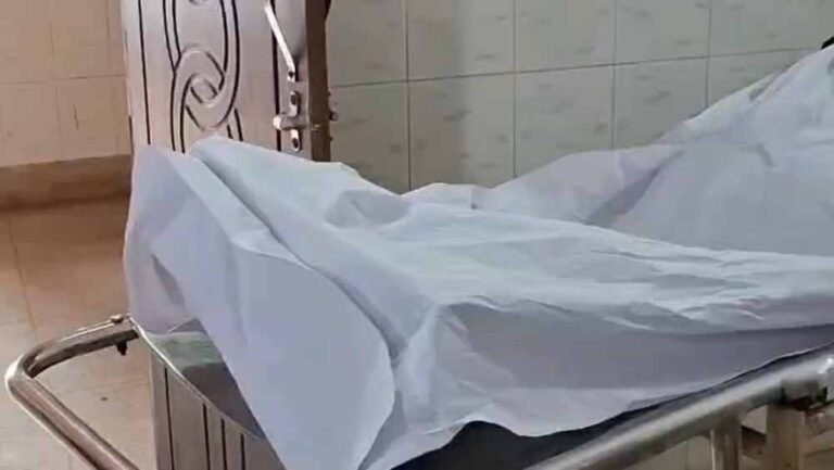 मधुमक्खियों के जानलेवा हमले से दहला धमतरी, सास ने गंवाई जान, दामाद घायल