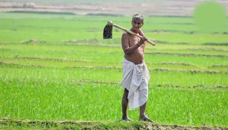 भूमिहीन कृषि मजदूरों को बड़ी राहत, हर पात्र परिवार को मिलेंगे 10 हजार रुपये