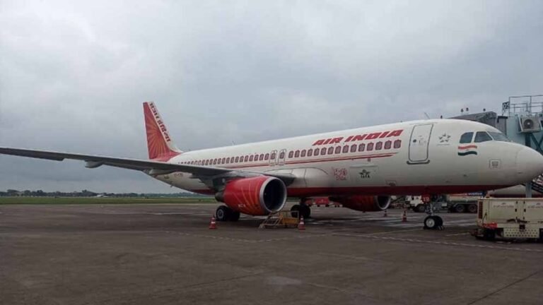 दिल्ली से रायपुर आ रही एअर इंडिया फ्लाइट बर्ड हिट का शिकार, एयरपोर्ट पर हड़कंप