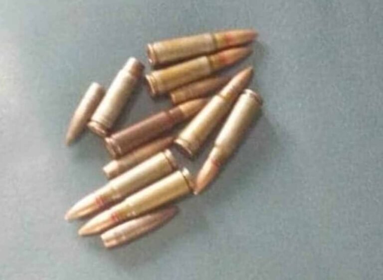 धोखाधड़ी मामले के बाद बड़ा फैसला, खिलाड़ियों की कारतूस खरीद पर नजर; गन लाइसेंस पर लगी सीमा