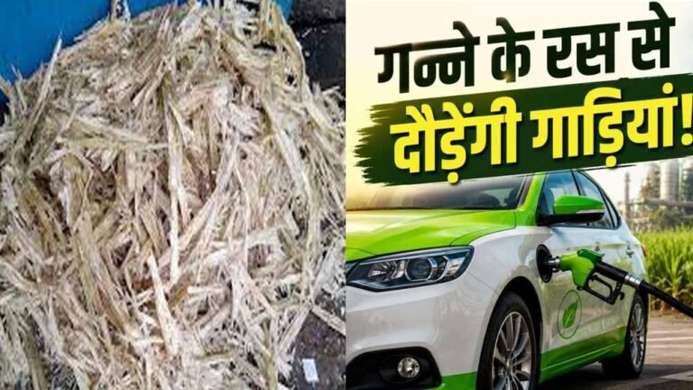 मध्य प्रदेश में गन्ना बनेगा तरक्की का इंजन, एथेनॉल से चलेंगी गाड़ियां; किसानों की आय बढ़ने की उम्मीद