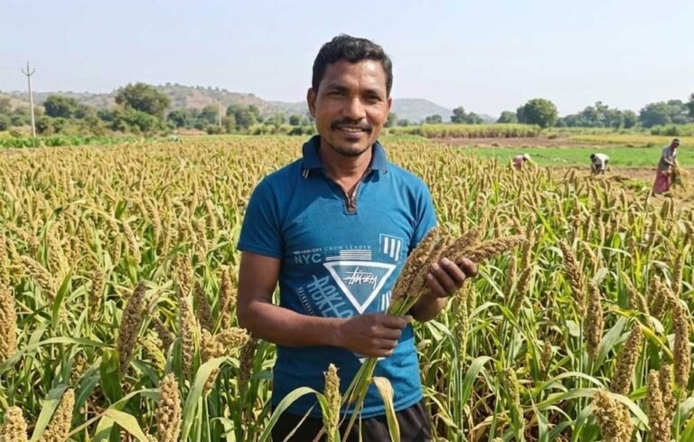 मिलेट से बढ़ी आय, किसानों के जीवन में आई खुशहाली श्री अन्न की खेती बन रही लाभ का नया माध्यम