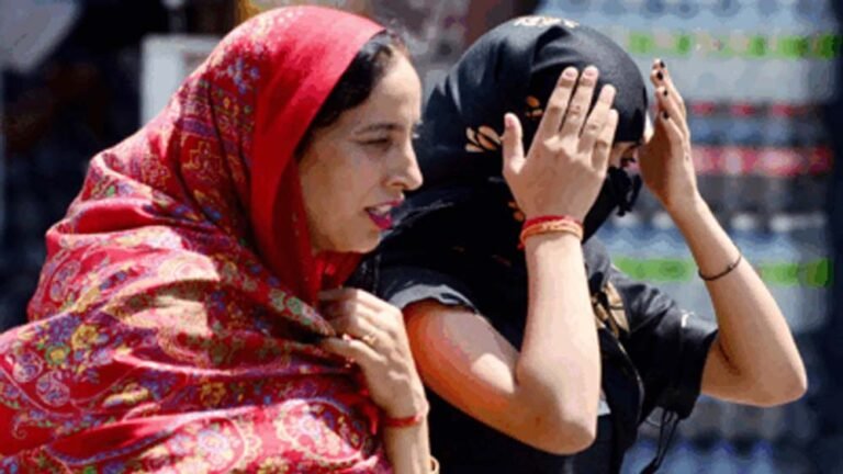 भारत में रिकॉर्ड गर्मी का खुलासा, 365 में 360 दिन रहा तापमान का असर; क्लाइमेट चेंज या अल-नीनो जिम्मेदार?