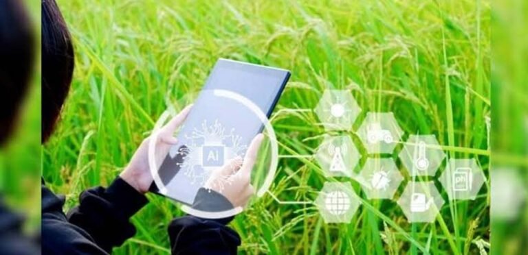 राजस्थान के किसानों के लिए बड़ी पहल, मोबाइल ऐप से खुद कर सकेंगे ऑनलाइन गिरदावरी