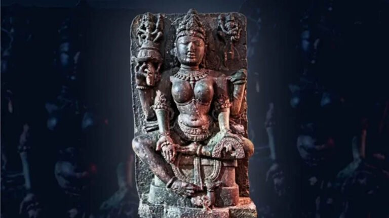 3D मैपिंग से सुलझा 900 साल पुराना रहस्य, धार की ऐतिहासिक प्रतिमा की नई पहचान सामने आई