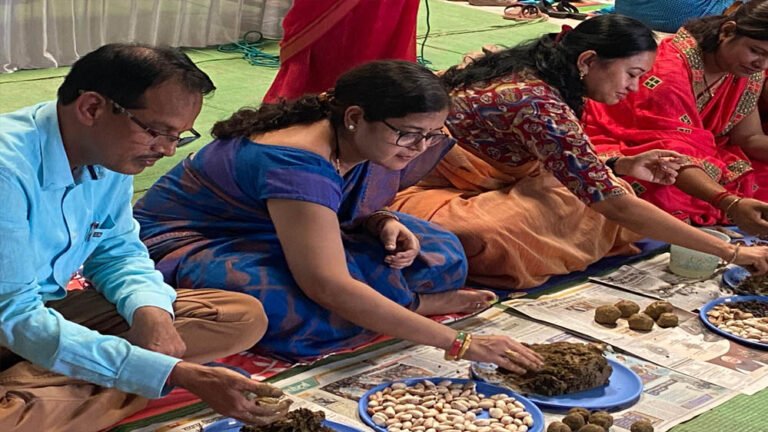 सारंगढ़ में स्व-सहायता समूहों की अनोखी पहल, 30 हजार सीड बॉल वितरित कर बढ़ाया हरियाली अभियान