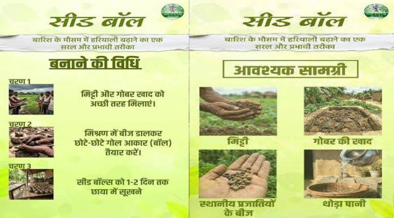 जनभागीदारी से साकार हो रहा हरित छत्तीसगढ़ का संकल्प