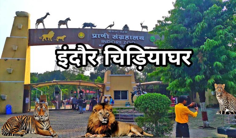 इंदौर प्राणी संग्रहालय को मिलेगा नया मेहमान, गैंडों की जोड़ी और दरियाई घोड़ा ‘सतीश’ बनेगा आकर्षण का केंद्र