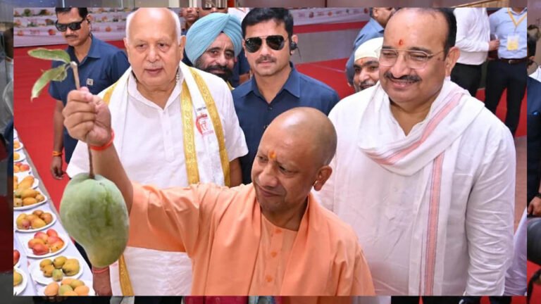 आधा किलो वजनी आम ने खींचा सबका ध्यान, यूपी मैंगो फेस्टिवल में CM योगी ने की सराहना