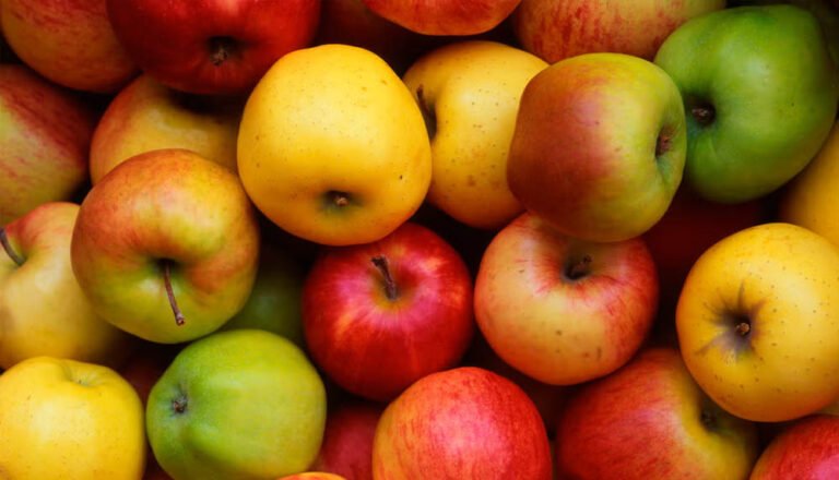Apple Crisis in Himachal: 40% तक घट सकता है सेब उत्पादन, जानें कौन बन रहा ₹5000 करोड़ के कारोबार का सबसे बड़ा ‘खलनायक’