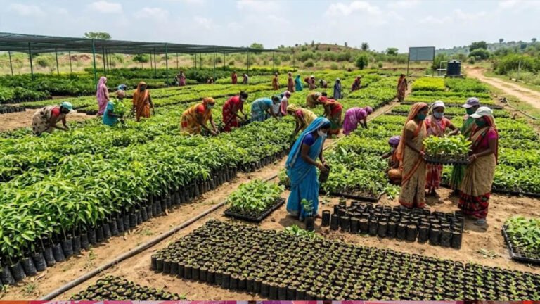 उप्र  में हरियाली की बड़ी तैयारी! 2600 से अधिक नर्सरियों में 57.62 करोड़ पौधे रोपण के लिए तैयार