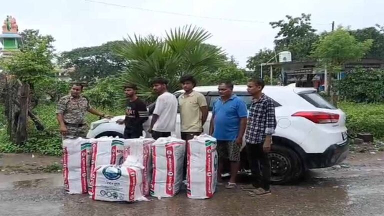 छत्तीसगढ़ में करोड़ों की गांजा तस्करी का भंडाफोड़, फर्जी नंबर प्लेट वाली कार से 3 तस्कर दबोचे गए