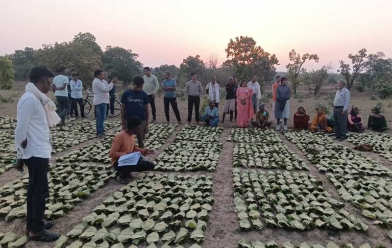 डिजिटल एवं पारदर्शी व्यवस्था से सीधे खातों में अंतरित हुई प्रोत्साहन पारिश्रमिक राशि, वनवासी परिवारों की आजीविका और ग्रामीण अर्थव्यवस्था को मिला नया संबल