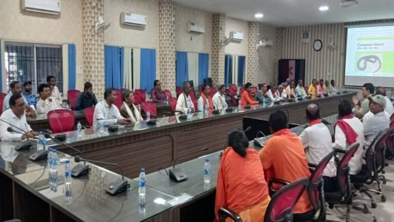 जहां मलेरिया था बड़ी चुनौती, 10 साल में 83% घटे मामले; गांवों में बदली लोगों की सोच और आदत