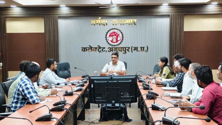 रेलवे ओवरब्रिज का कार्य गंभीरता एवं रुचि के साथ शीघ्र पूर्ण करें अधिकारी- कलेक्टर  झा